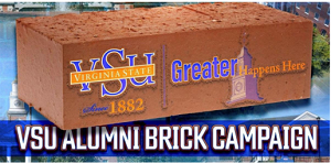 Brick Campaign